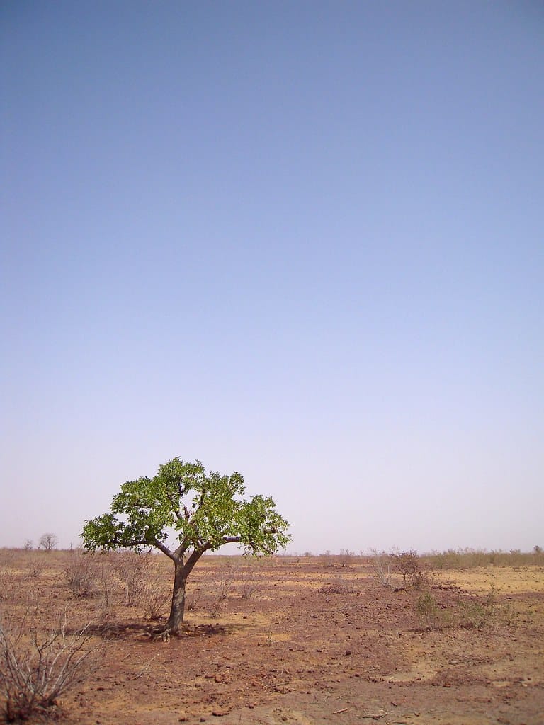 Instabilité au Sahel : quelles conséquences pour la sécurité européenne
